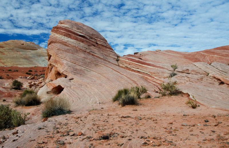DSC_7366a.jpg