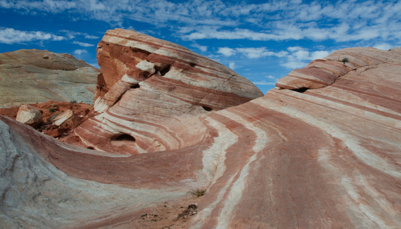 DSC_7413a.jpg