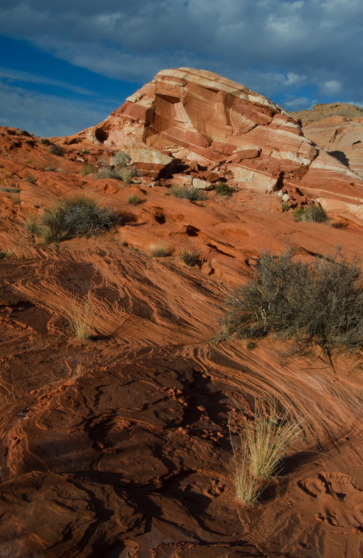 DSC_7484b.jpg