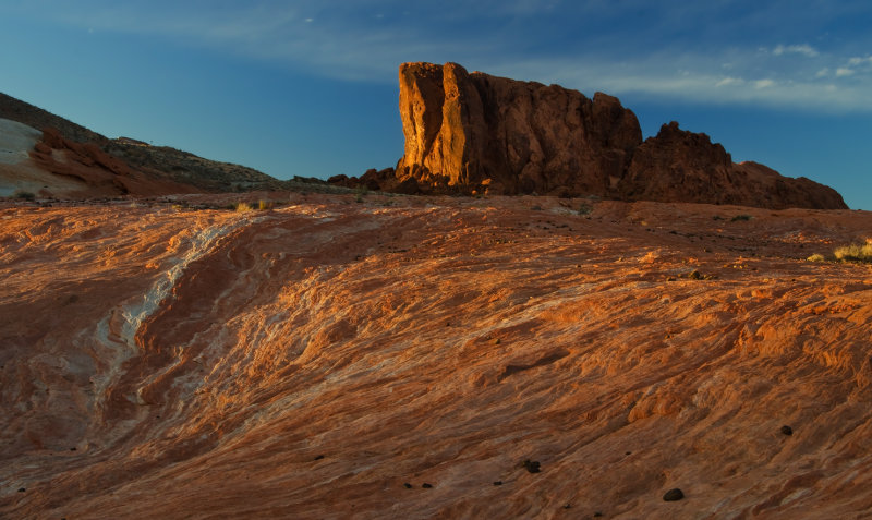 DSC_7596a.jpg