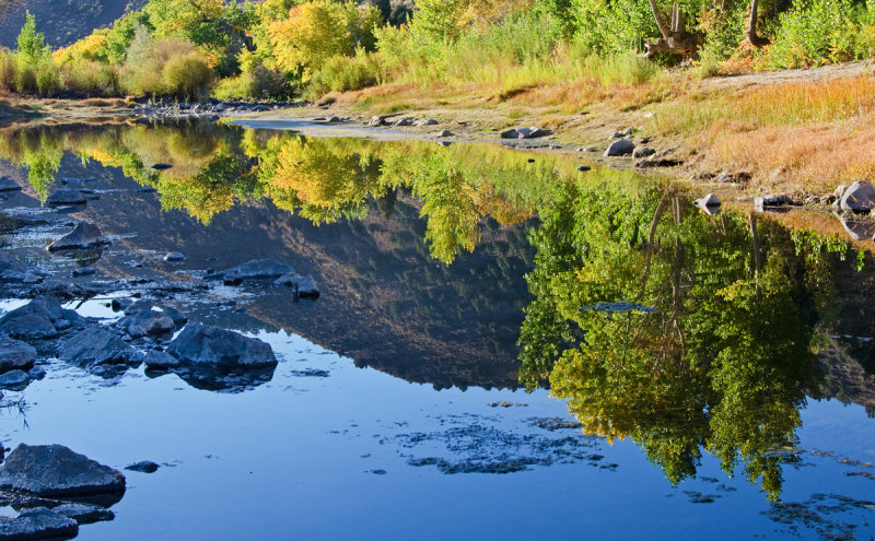 DSC_8969a.jpg