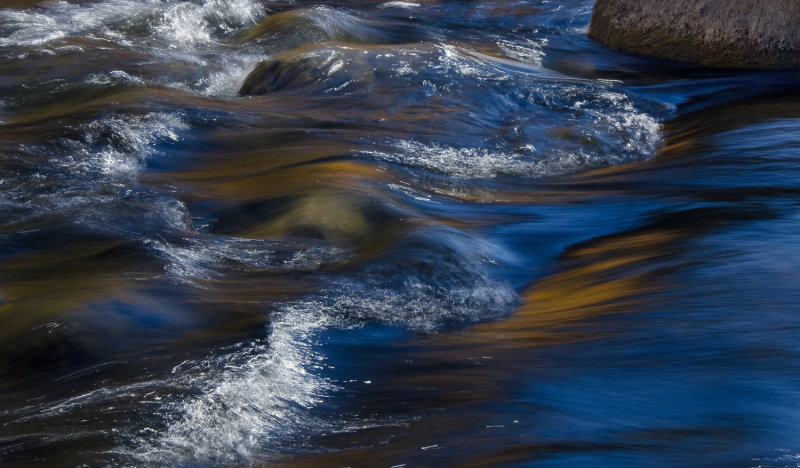 DSC_9545a.jpg