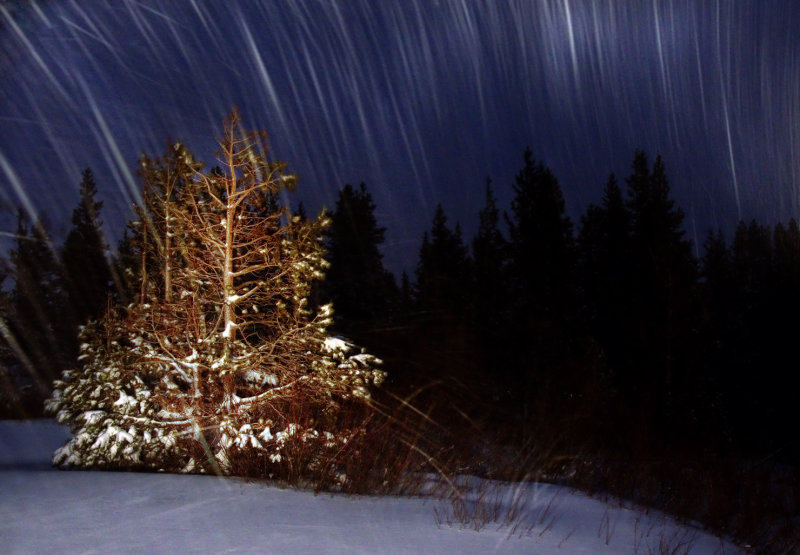 DSC_1476a.jpg