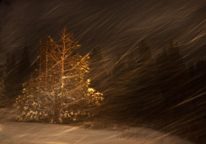 DSC_1503b.jpg