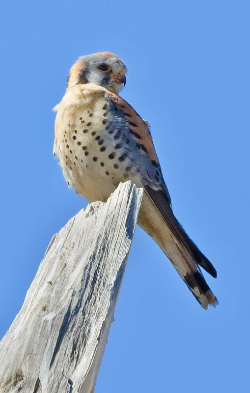 DSC_5696a.jpg