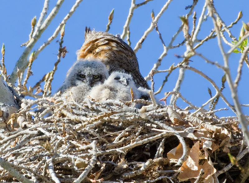 DSC_6045a.jpg