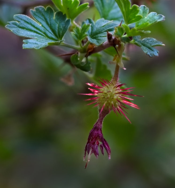 DSC_0847a.jpg