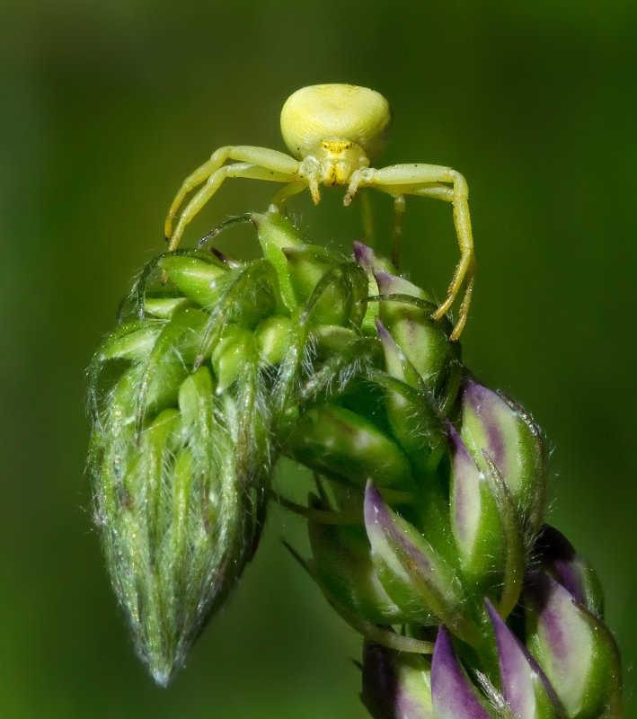DSC_1404a.jpg