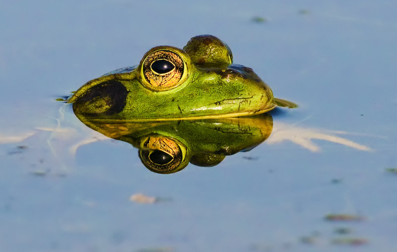DSC_2673a.jpg