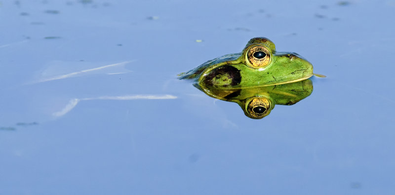 DSC_2798a.jpg