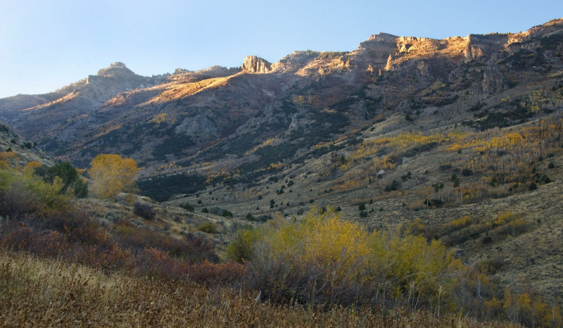 DSC_5422a.jpg