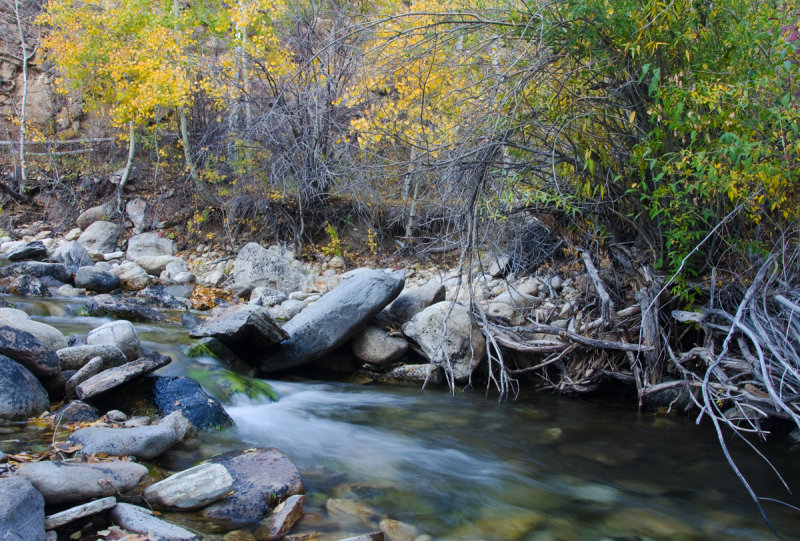 DSC_5510a.jpg