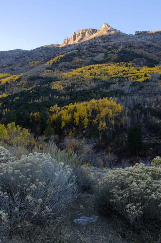 DSC_5738a.jpg