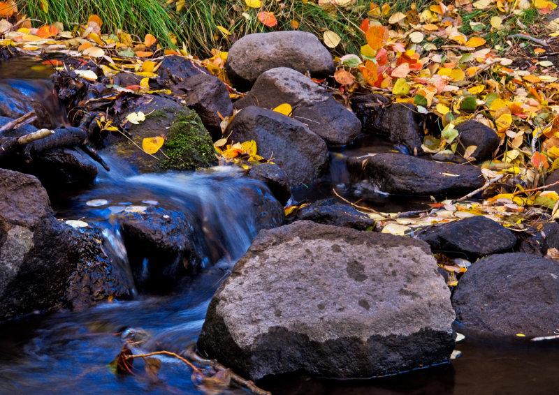 DSC_5916a.jpg