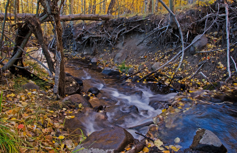 DSC_6018a.jpg