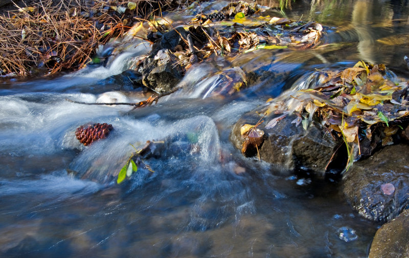 DSC_6042a.jpg