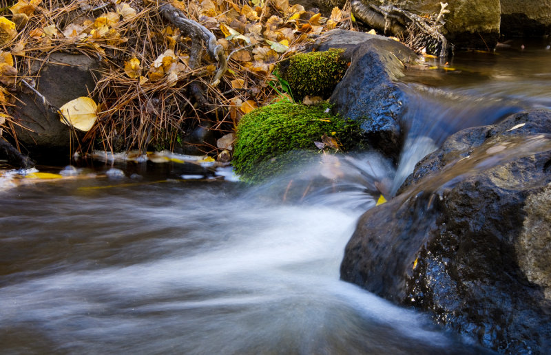 DSC_6064a.jpg