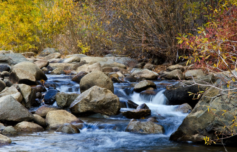 DSC_6298a.jpg