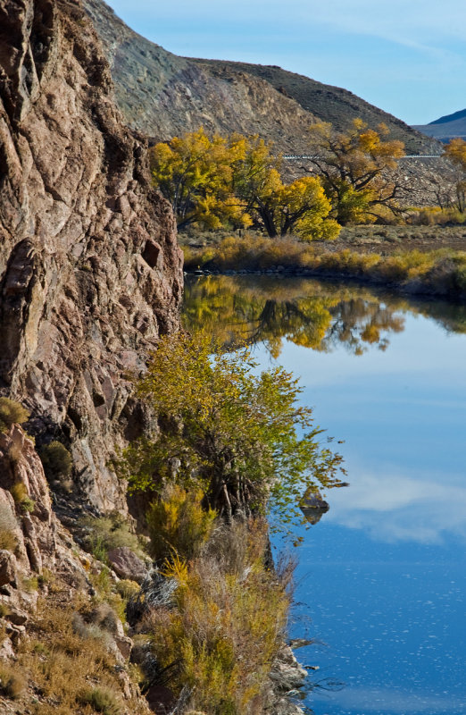 DSC_6423a.jpg