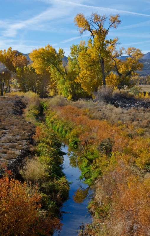 DSC_6429a.jpg