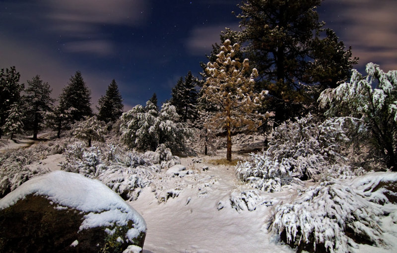 DSC_6706a.jpg