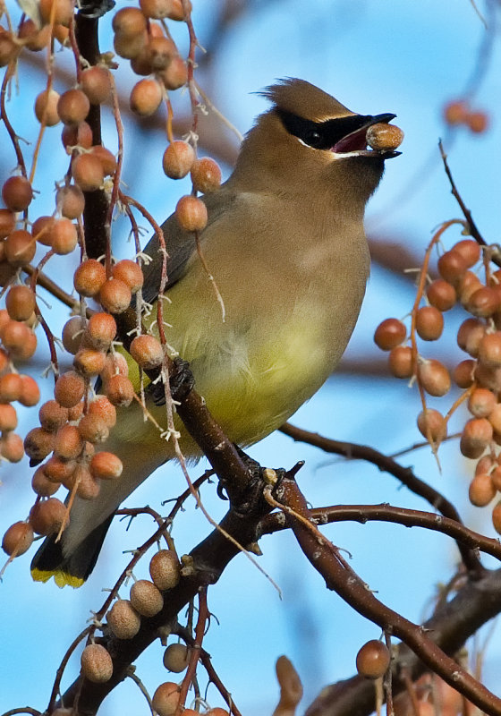 DSC_0658a.jpg