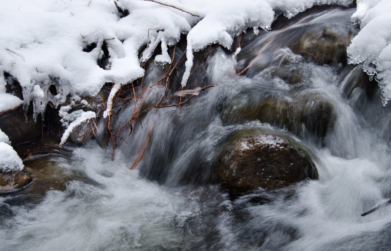DSC_4528b.jpg
