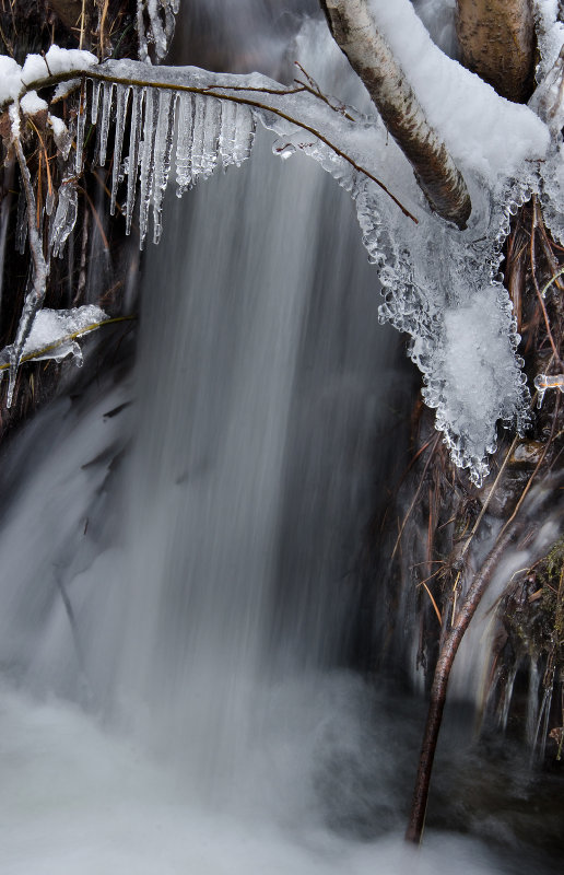 DSC_4696a.jpg