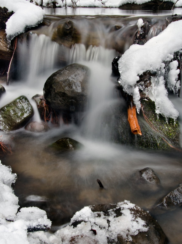 DSC_4855b.jpg