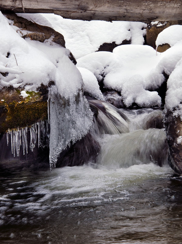 DSC_4876a.jpg