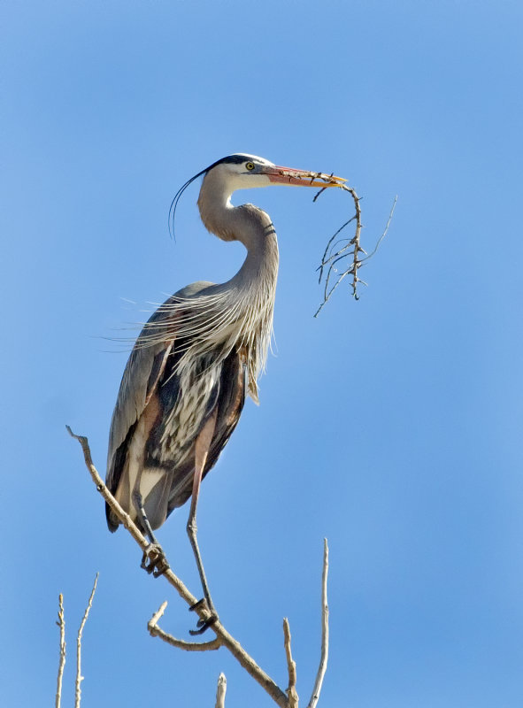 DSC_9227a.jpg