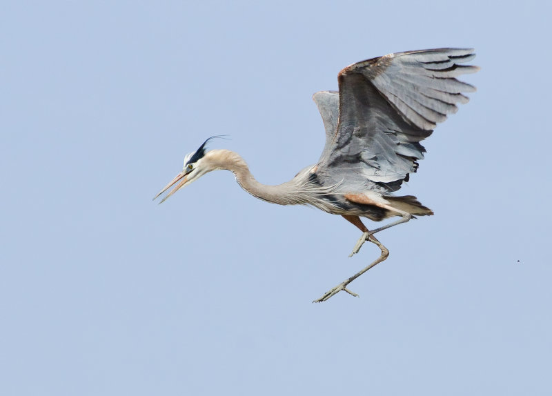 DSC_0789a.jpg