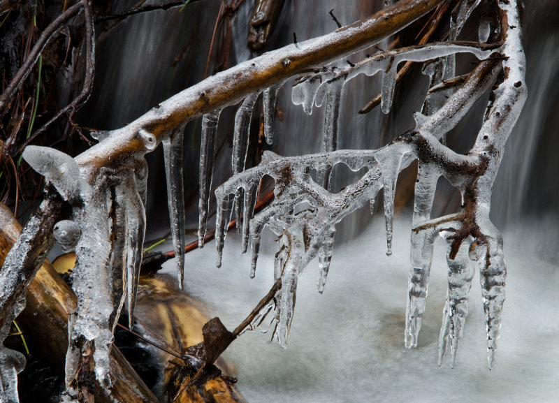 DSC_1179a.jpg