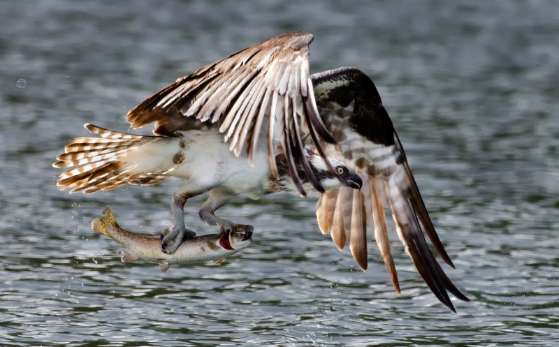DSC_5981a.jpg