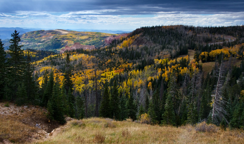 DSC_3244a.jpg