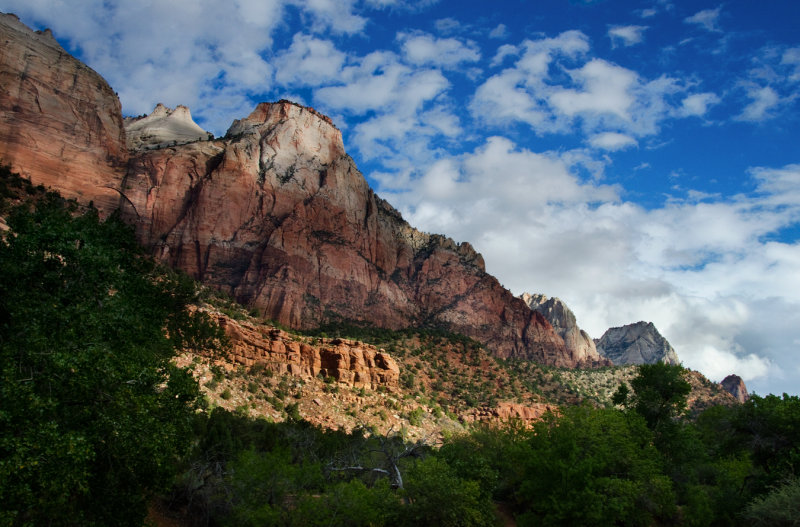 DSC_3460a.jpg