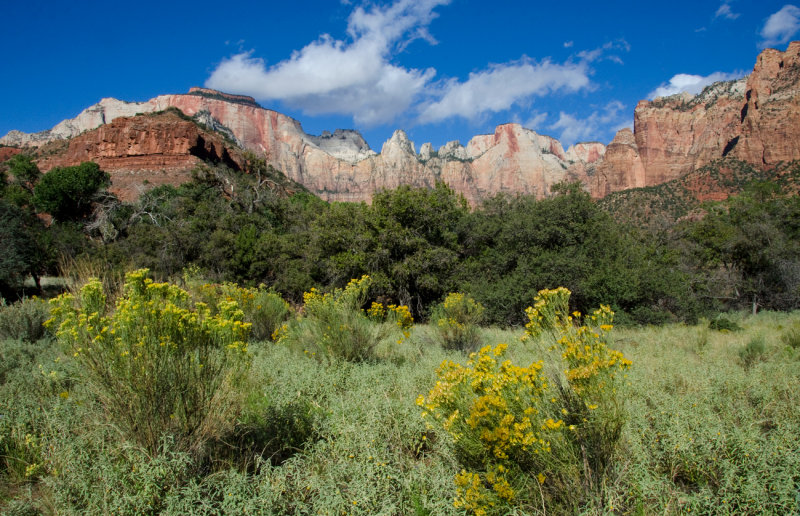 DSC_3478a.jpg
