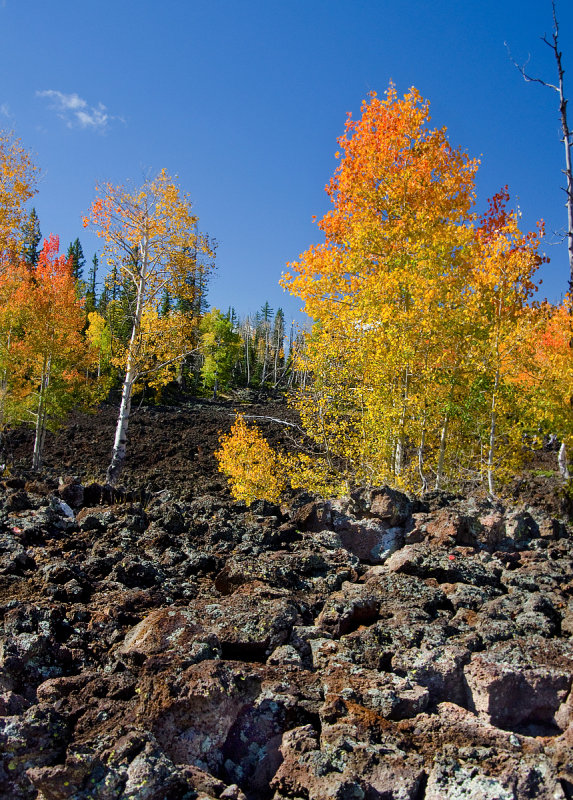 DSC_3870a.jpg