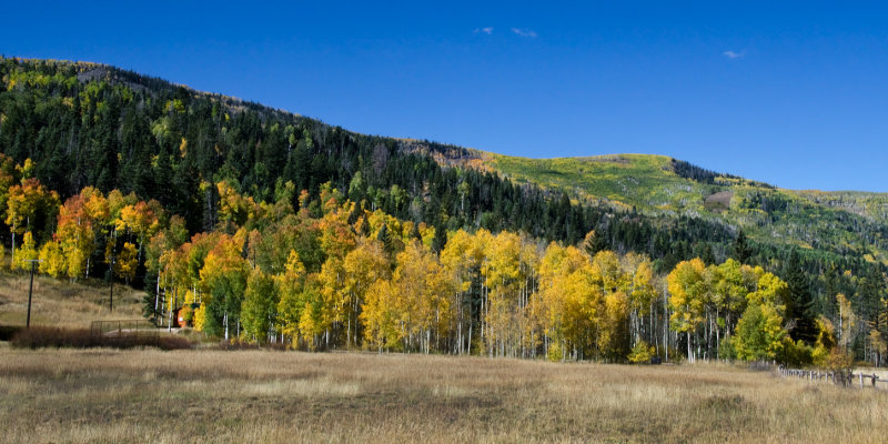 DSC_4620a.jpg