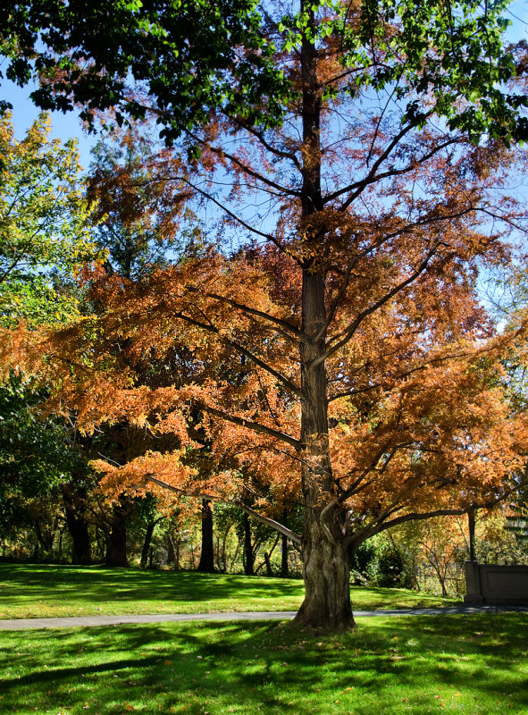 DSC_5781a.jpg