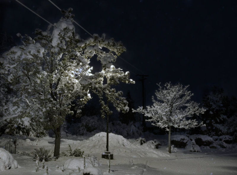DSC_6009a.jpg