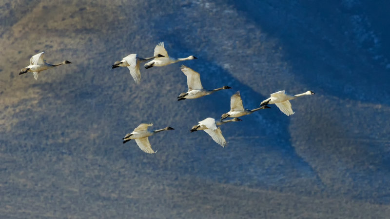 DSC_7402a.jpg