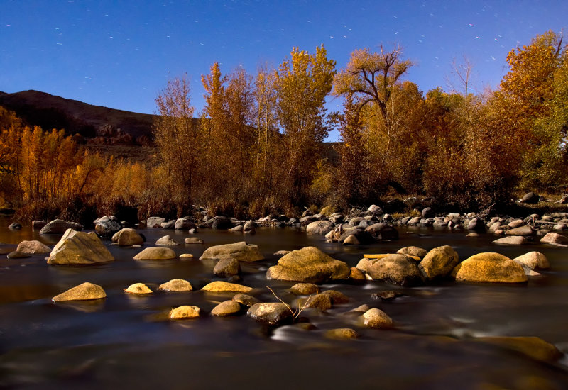 DSC_7555a.jpg