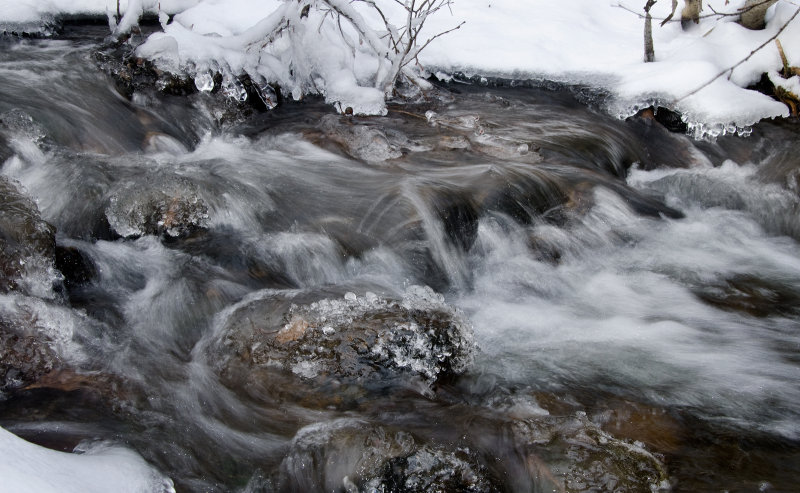 DSC_8064a.jpg