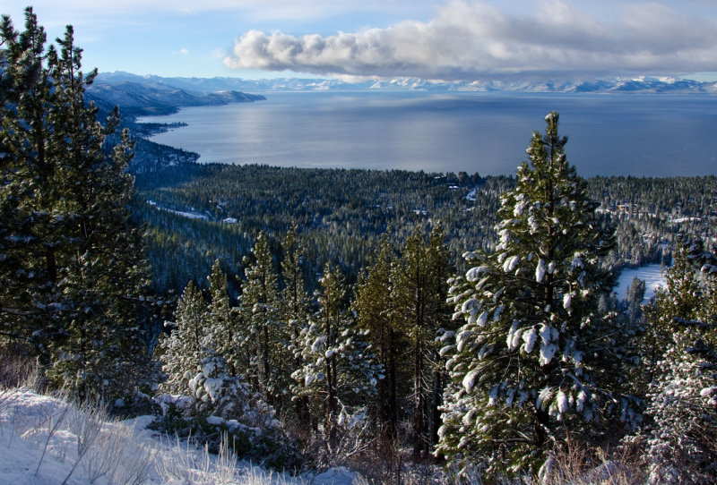 DSC_8281a.jpg
