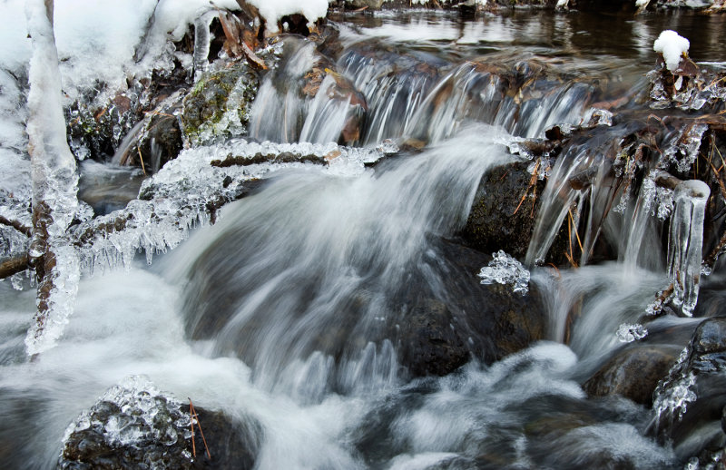 DSC_8299a.jpg