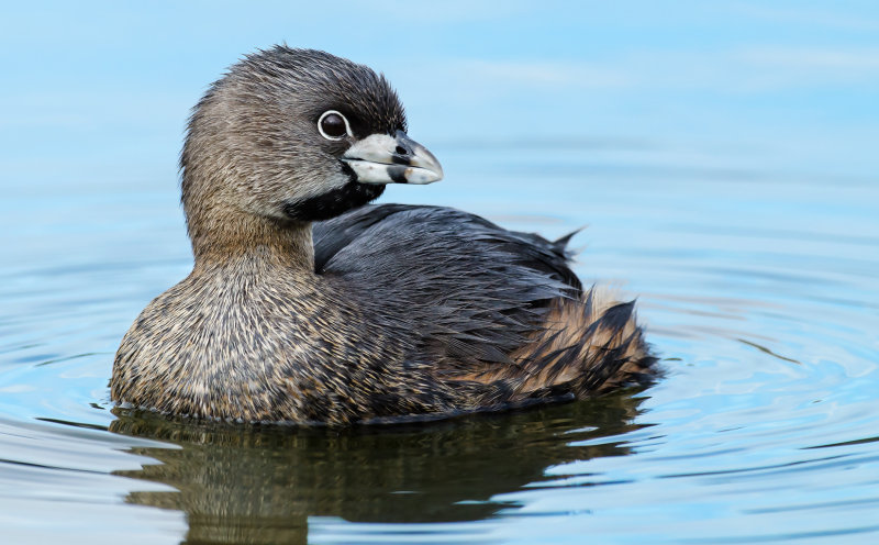 DSC_5016a.jpg