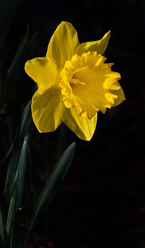DSC_5830a.jpg