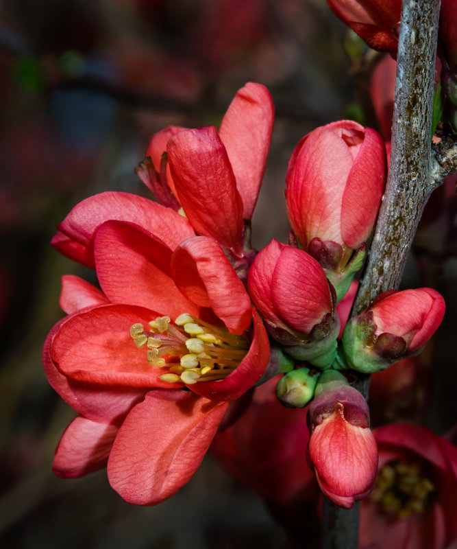 DSC_5893a.jpg