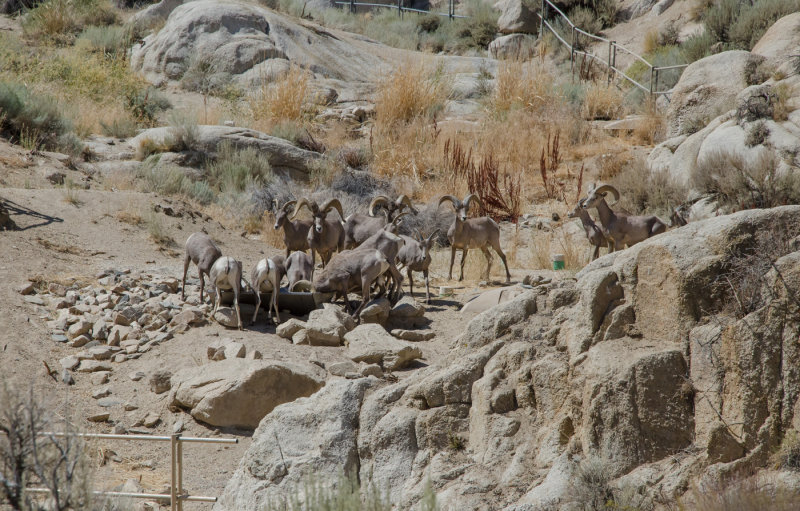 DSC_6360a.jpg